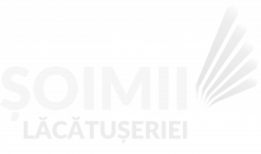 Șoimii Lăcătușeriei